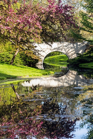 Spring Reflections - Dow Gardens