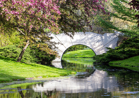 Blooms and Bridge - Dow Gardens