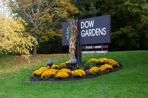 Dow Gardens in Autumn - Midland Michigan
