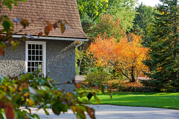Dow Gardens in Autumn - Midland Michigan