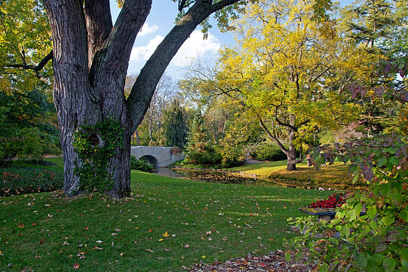 Dow Gardens in Autumn - Midland Michigan