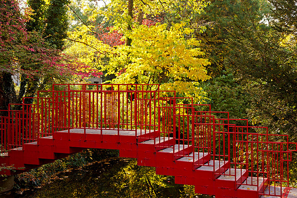 Dow Gardens in Autumn - Midland Michigan