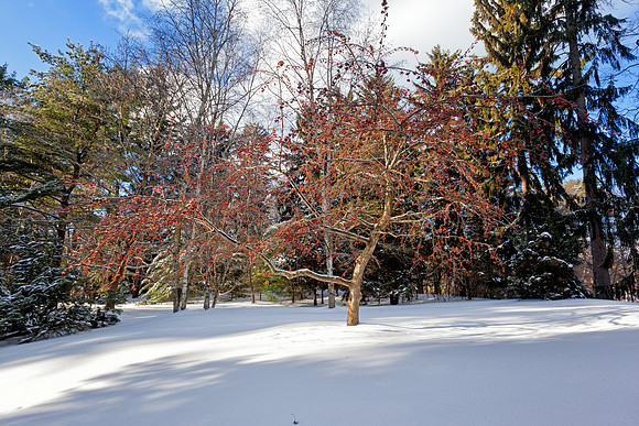 Midland Michigan General Stock Photography