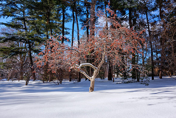 Midland Michigan General Stock Photography