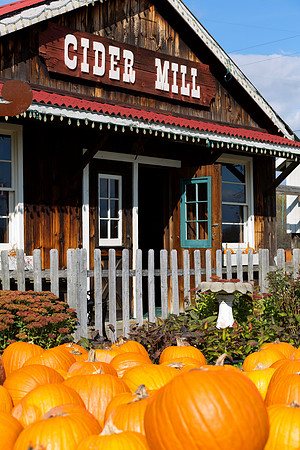 Baynes Apple Farm - Freeland Michigan