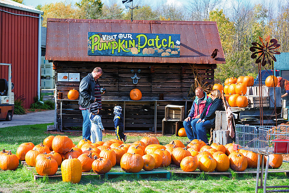 Baynes Apple Farm - Freeland Michigan