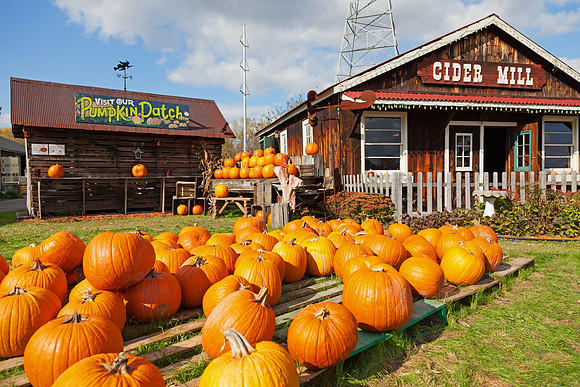 Baynes Apple Farm - Freeland Michigan