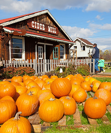Baynes Apple Farm - Freeland Michigan