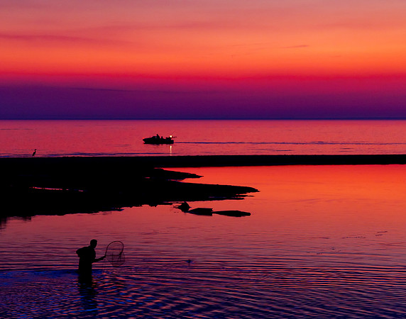 Fisherman and Heron II