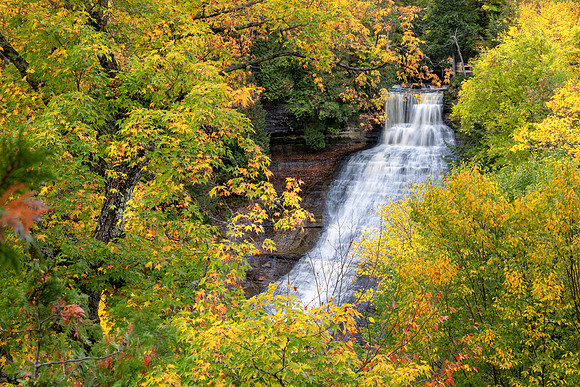 Laughing Whitefish Early Autumn UP-535 9Q4A5586