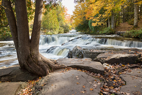 Upper Bond Falls in Autumn