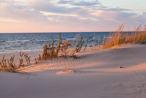 Sea Grass Mix