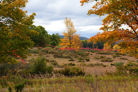 Day Farm Road in Autumn - Sleeping Bear Dunes