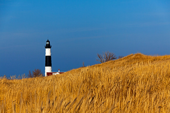 Big Sable Lighthouse with Autumn Grass