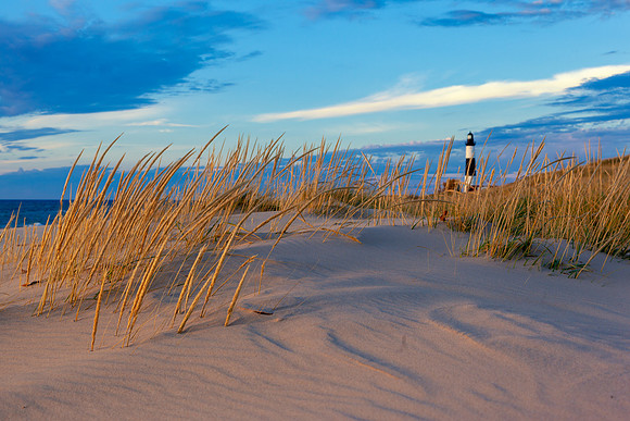 Sable Grasses - 2091 IMG_4235-Edit