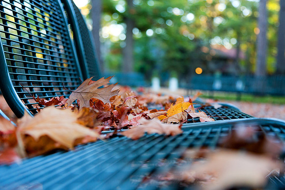 Autumn at Interlochen