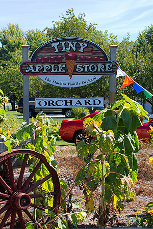 Tinys Apple Orchard