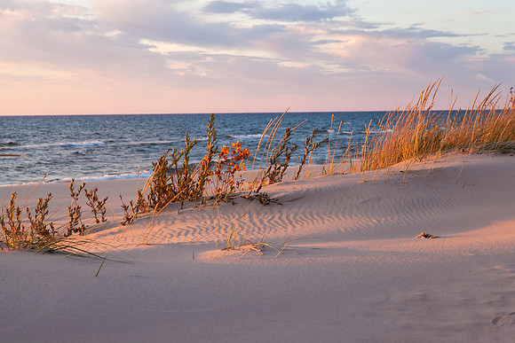 Sea Grass Mix