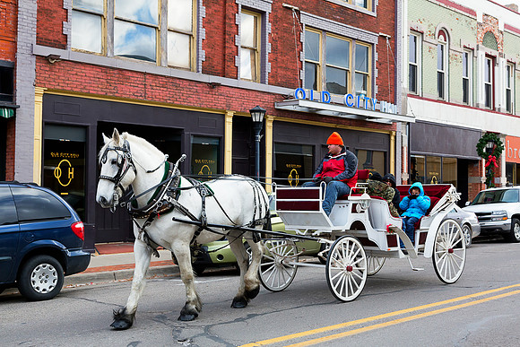 Horse and Carriage Ride - Sunday's in the City