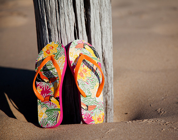 Flip Flops