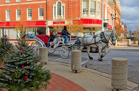 Horse and Carriage Ride - Sunday's in the City