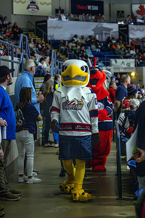 CS239167-Sprit Mascot