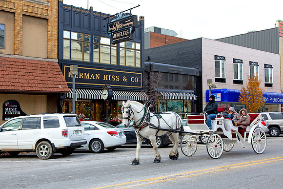 Horse and Carriage Ride - Sunday's in the City
