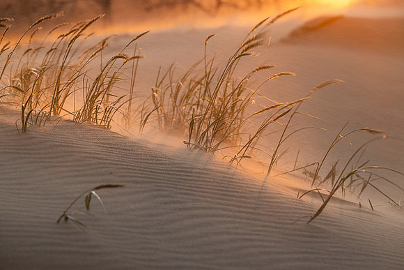 Sand Storm and Light