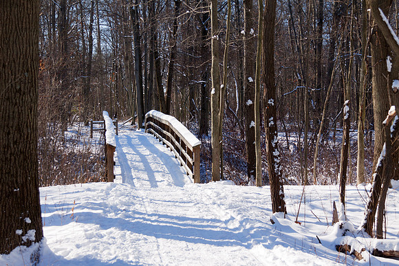 Tobico Marsh in Winter - Bay City State Park - Michigan