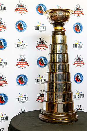 CS238472-CHL HOF Cup
