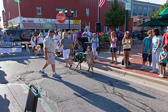 Dog Show during 1st Thursday's Art Walk