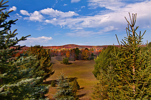 Autumn Overlook