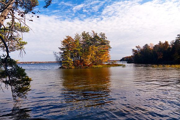 Blueberry Island in Autumn