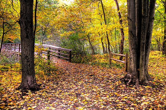 Tobico Marsh Foot Bridge