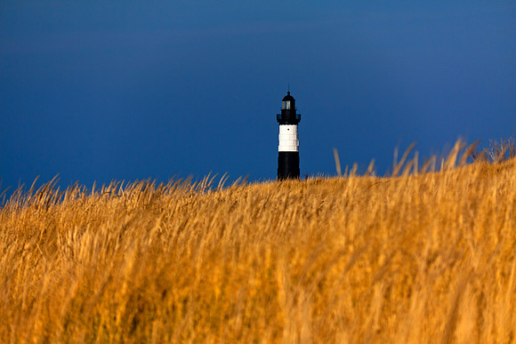 Big Sable Lighthouse with Autumn Grass