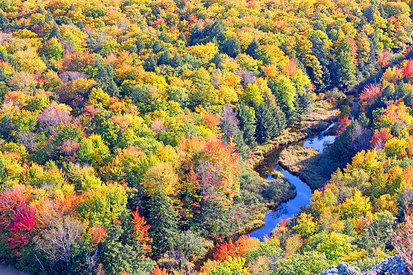 Carp River in Autumn