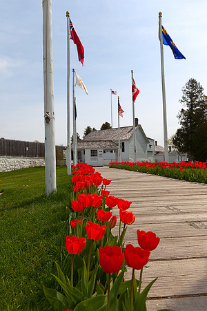 Mstr IMG_1006_1