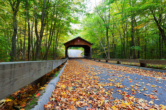 Covered Bridge at Sleeping Bear Dunes