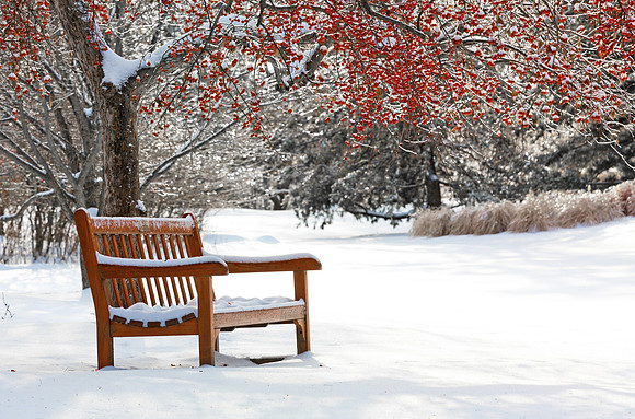 Bench in Snow at Midland Dow Gardens