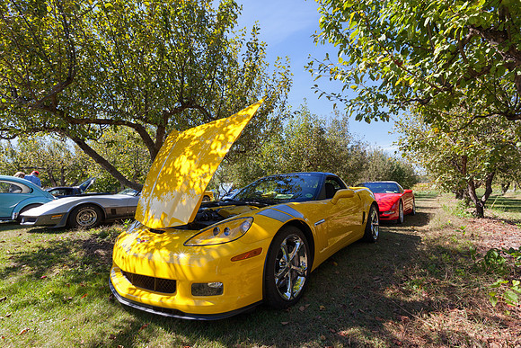 Car Show at Tiny's Apple Orchard
