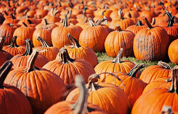 Pumpkins
