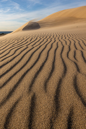 Lines in the Sands - SLSD-009 CS211394