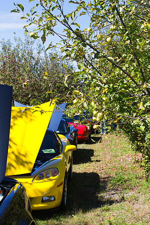 Car Show at Tiny's Apple Orchard
