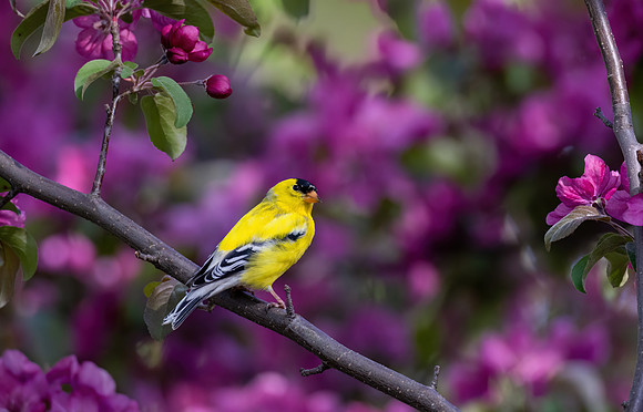 _S237972-