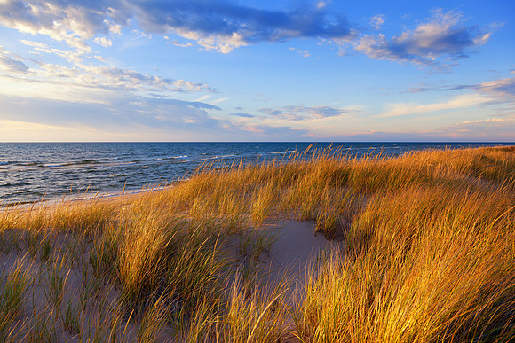 Autumn Dunes II