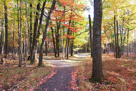 Tobico Marsh - Bay City State Park - Bay City Michigan