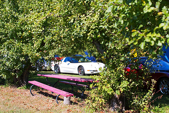 Car Show at Tiny's Apple Orchard