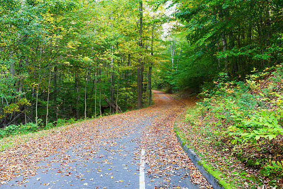 Pierce Stocking Drive in Autumn
