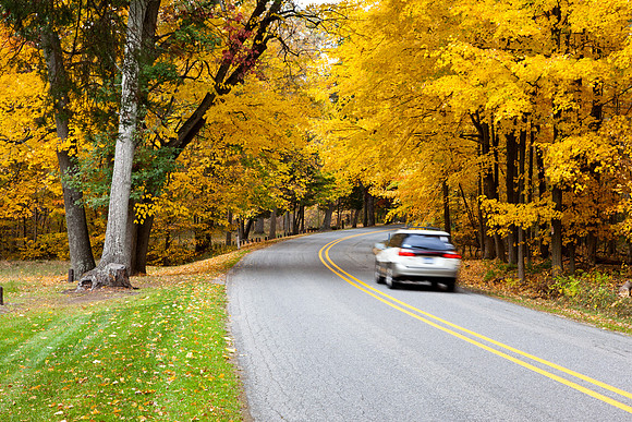 Sunday Drive