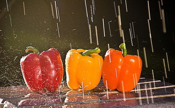 Peppers in the Rain